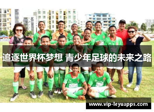 追逐世界杯梦想 青少年足球的未来之路