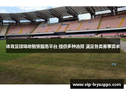 体育足球场地租赁服务平台 提供多种选择 满足各类赛事需求
