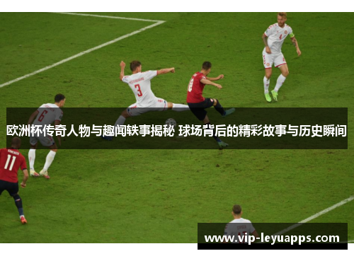 欧洲杯传奇人物与趣闻轶事揭秘 球场背后的精彩故事与历史瞬间