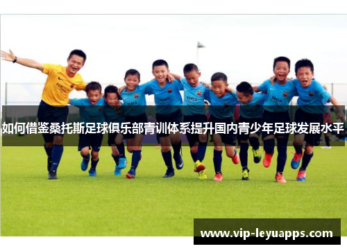 如何借鉴桑托斯足球俱乐部青训体系提升国内青少年足球发展水平