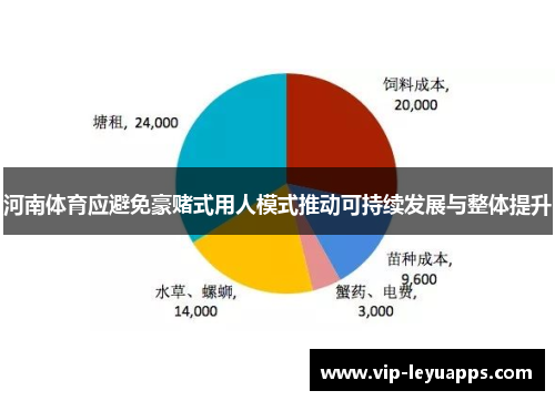 河南体育应避免豪赌式用人模式推动可持续发展与整体提升