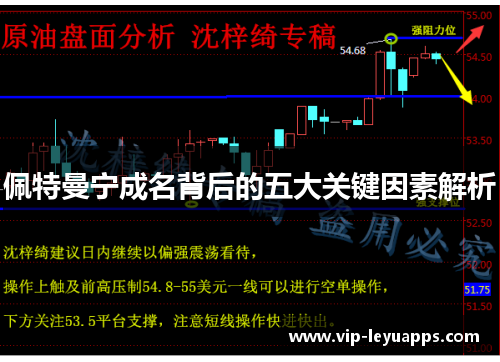 佩特曼宁成名背后的五大关键因素解析